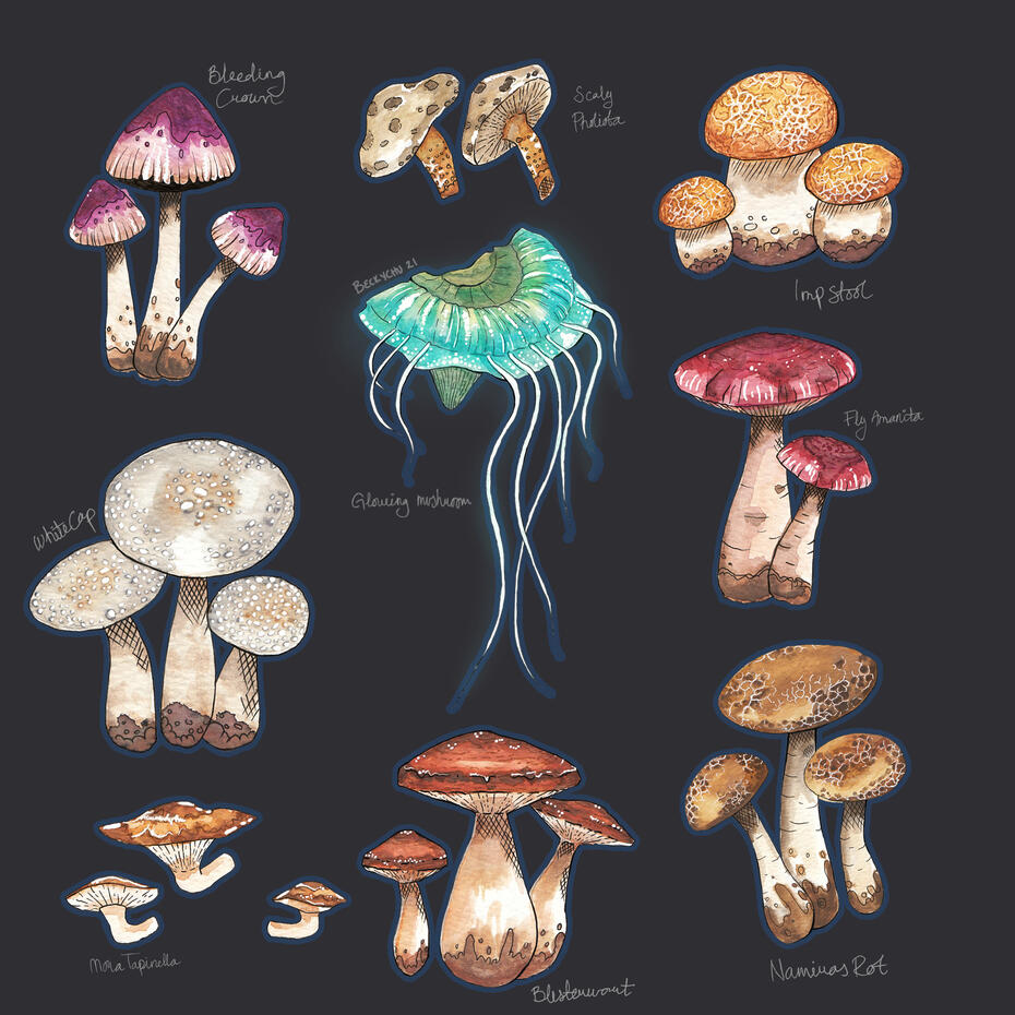 Northern Tamriel Fungi 2021